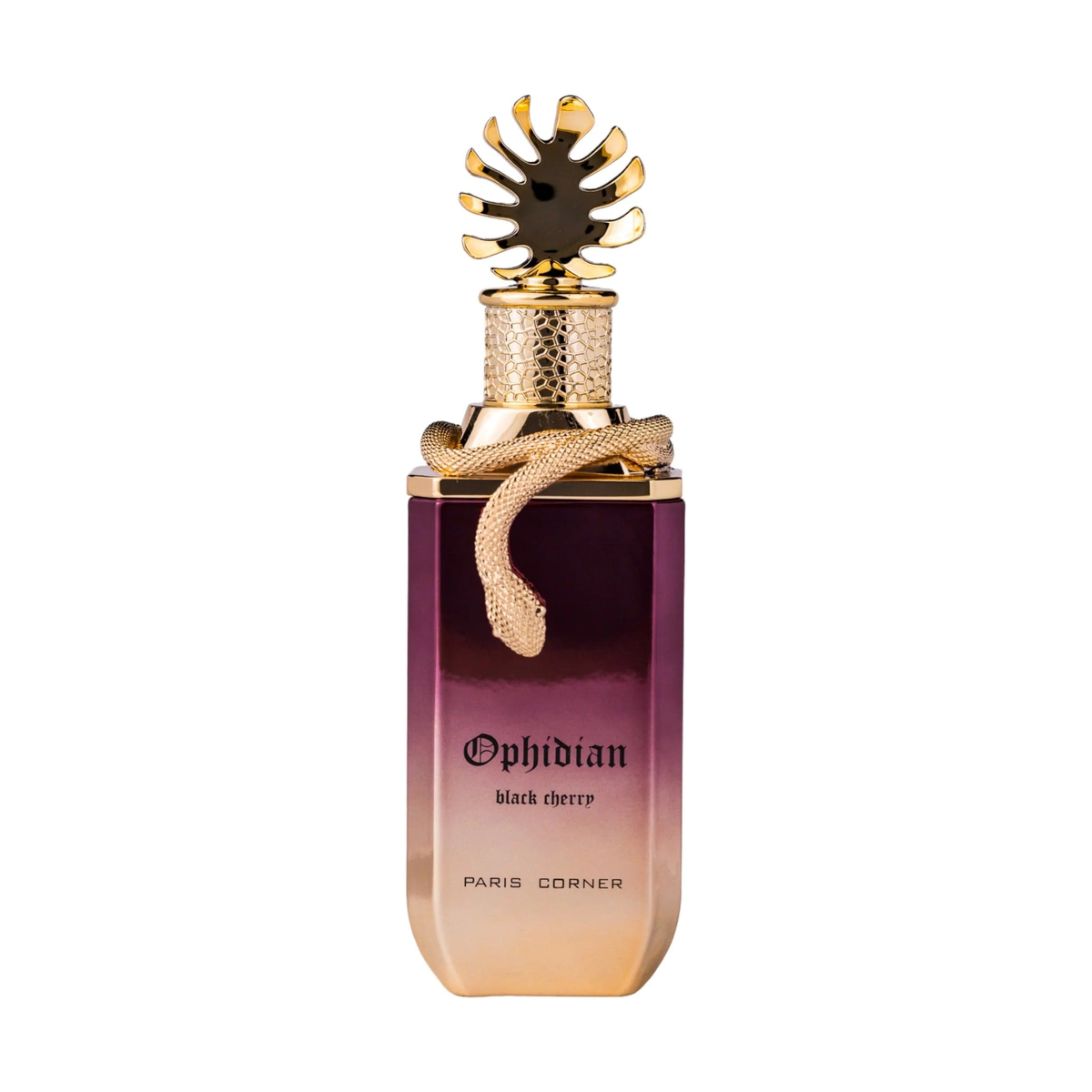 Paris Corner Ophidian Black Cherry