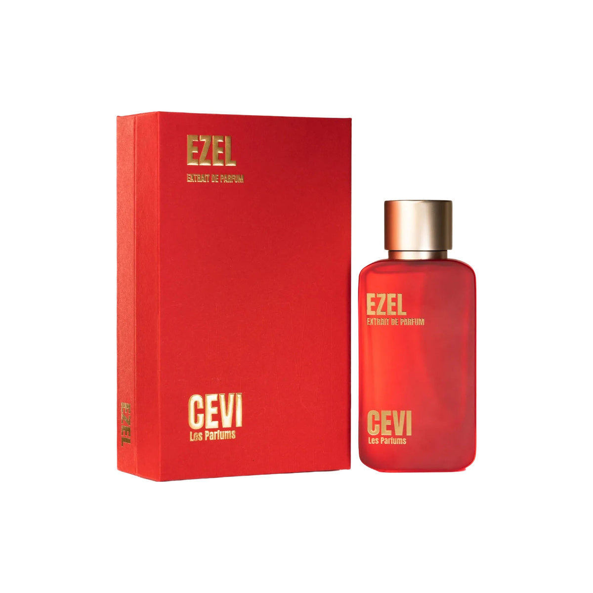 CEVI Ezel met doos