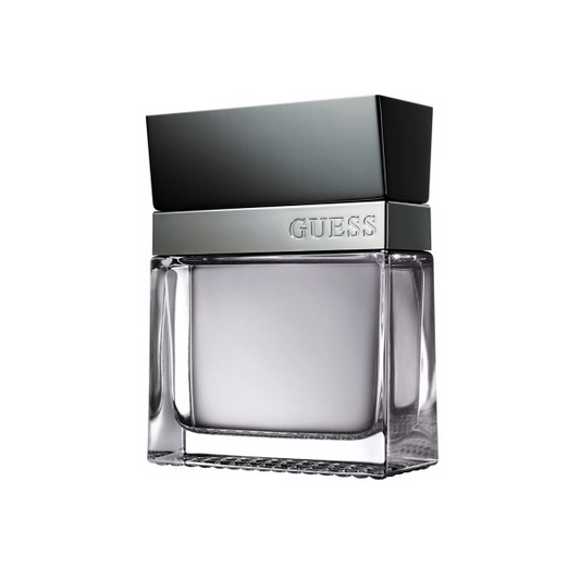 Guess Seductive Homme