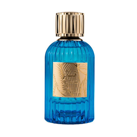 Paris Corner Qissa Blue