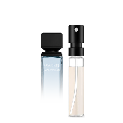 Assaf Frankel Imagination Sample