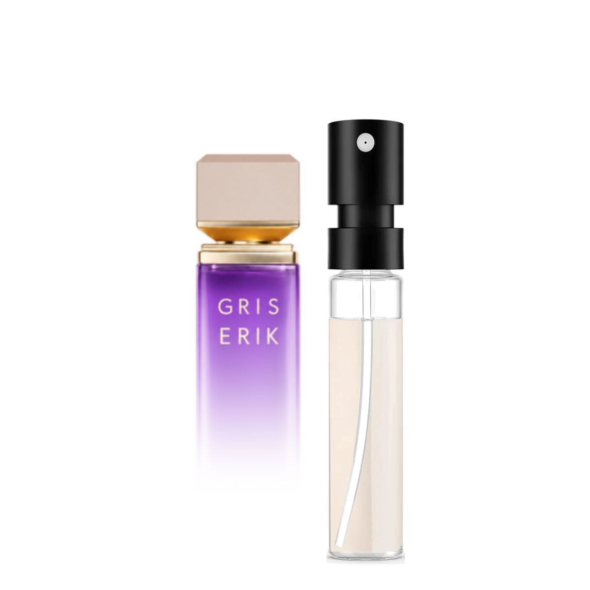Assaf Gris Erik Sample