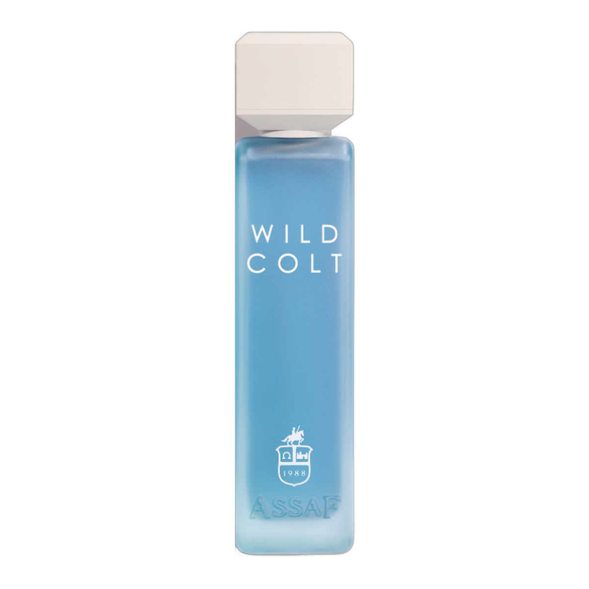 Assaf Wild Colt