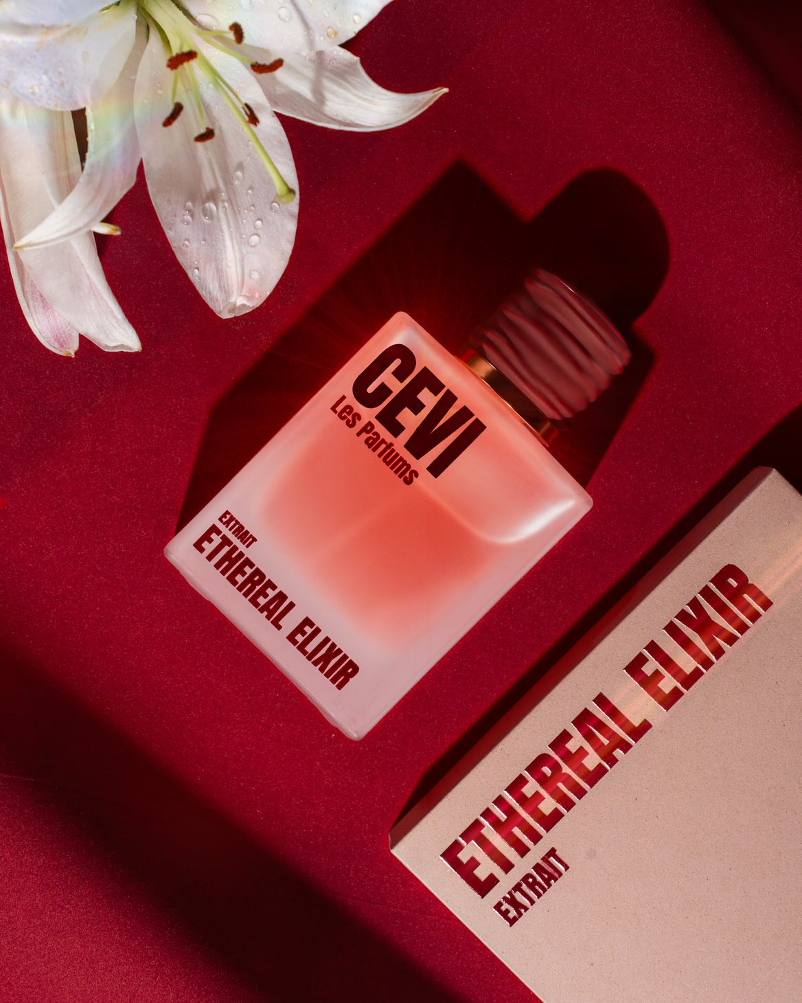 CEVI Ethereal Elixir sfeerfoto