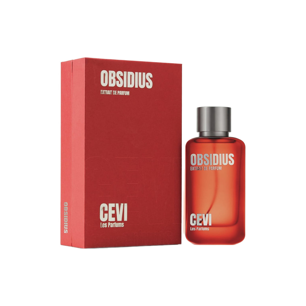 CEVI Obsidius met doos