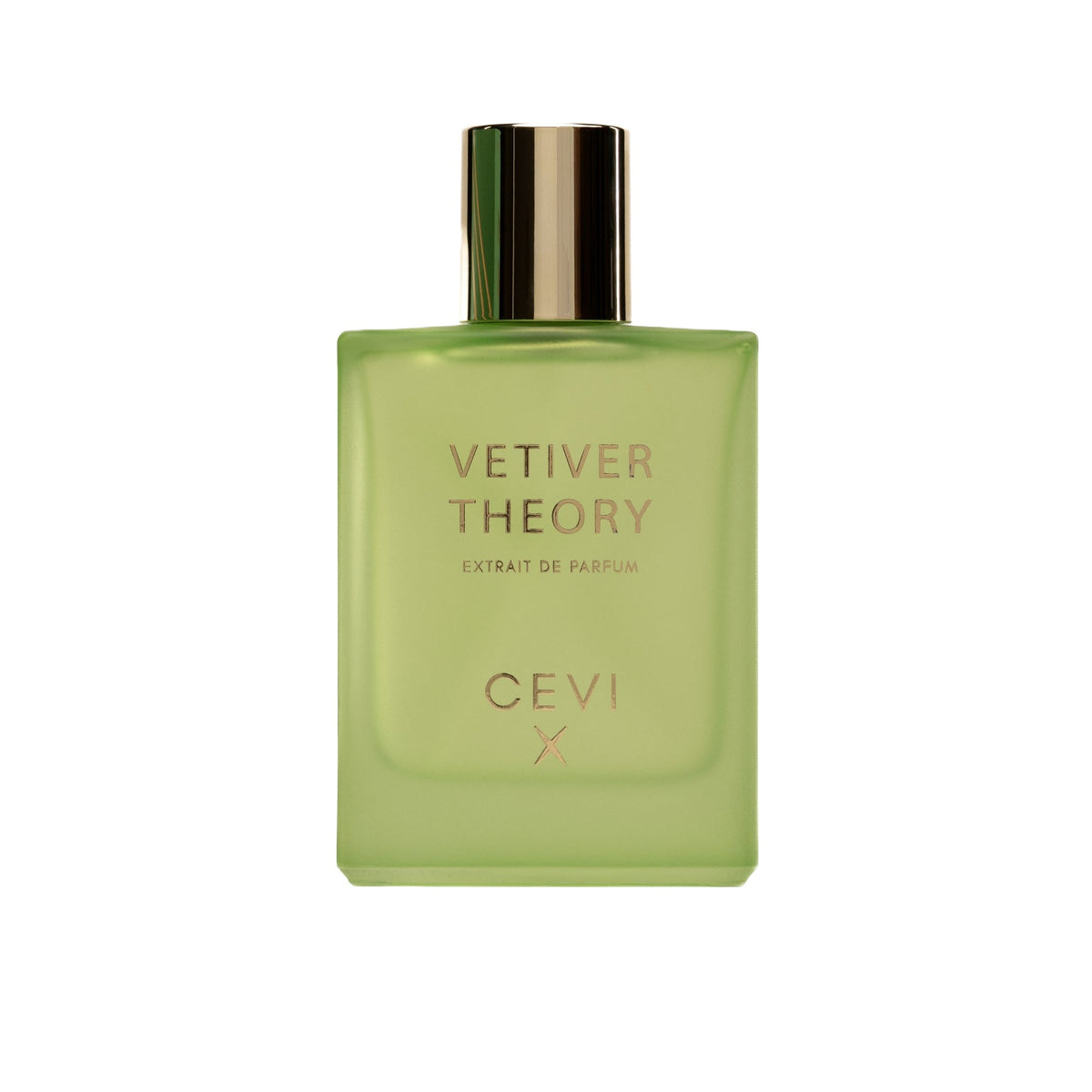 CEVI Vetiver Theory