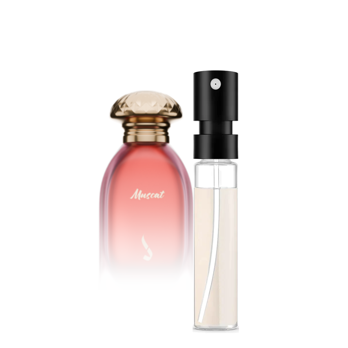Dkhoni Muscat Sample