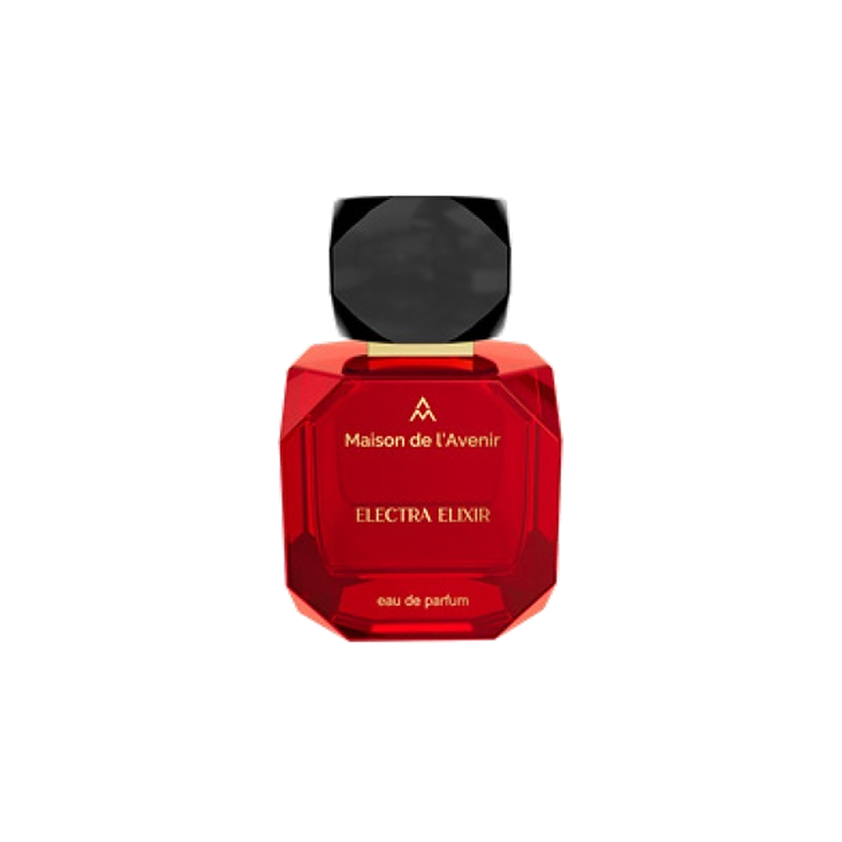 Maison de l'Avenir Electra Elixir Eau de Parfum 100 ml