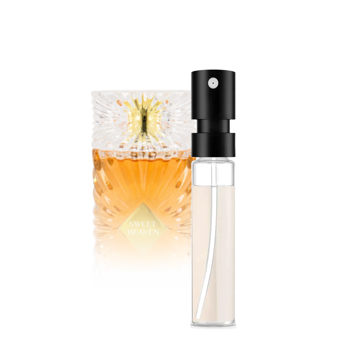 Gulf Orchid Sweet Heaven Sample