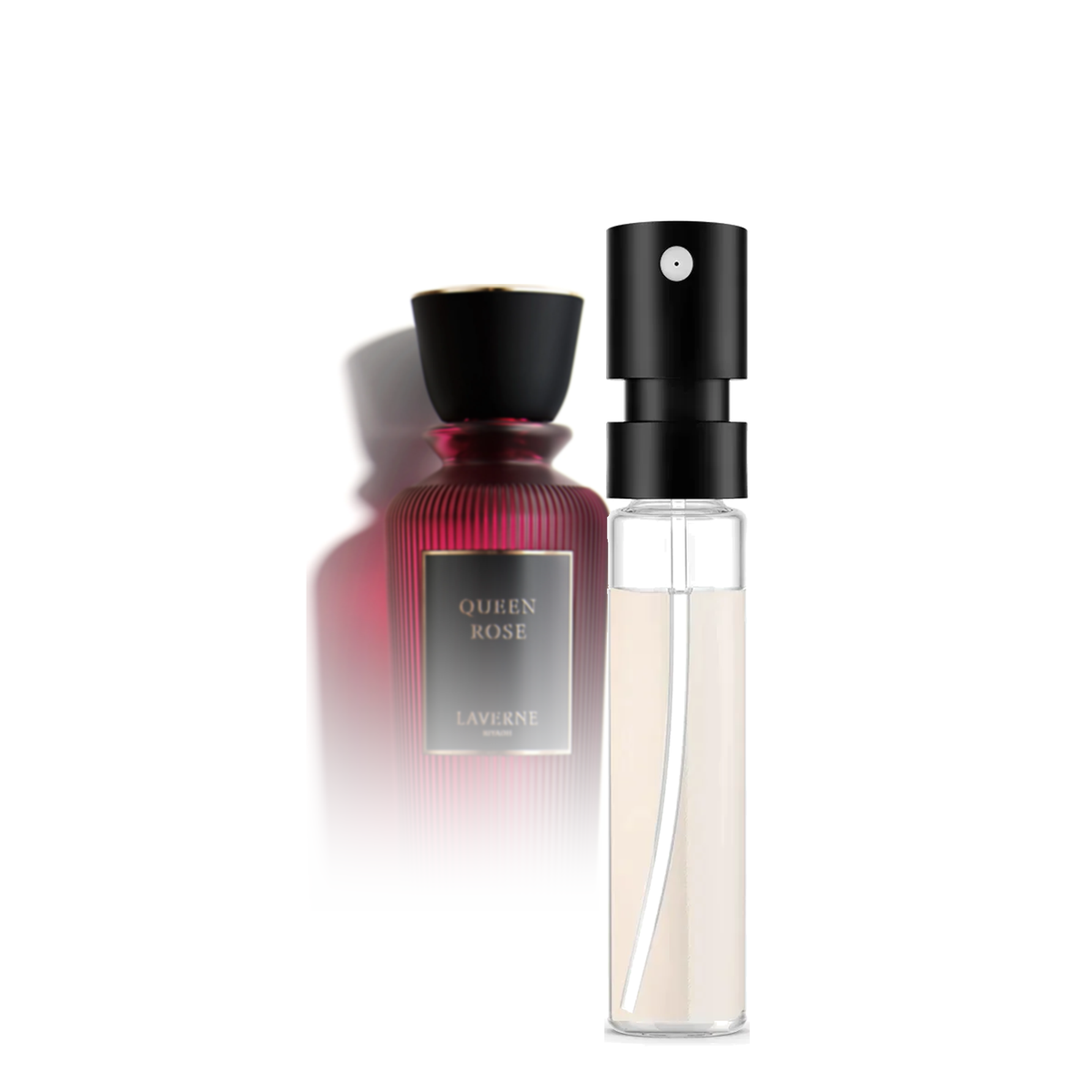 Laverne Queen Rose Sample