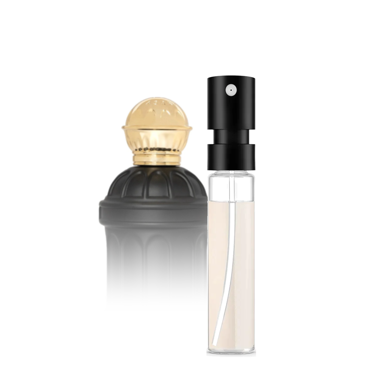 Maison Asrar Petra Sample