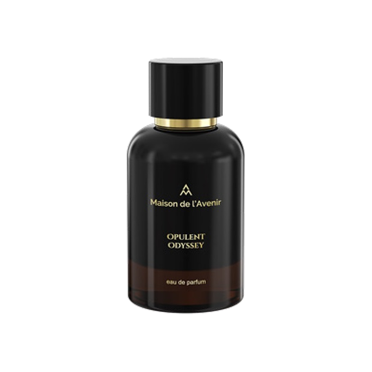 Maison de l'Avenir Opulent Odyssey Eau de Parfum 100 ml