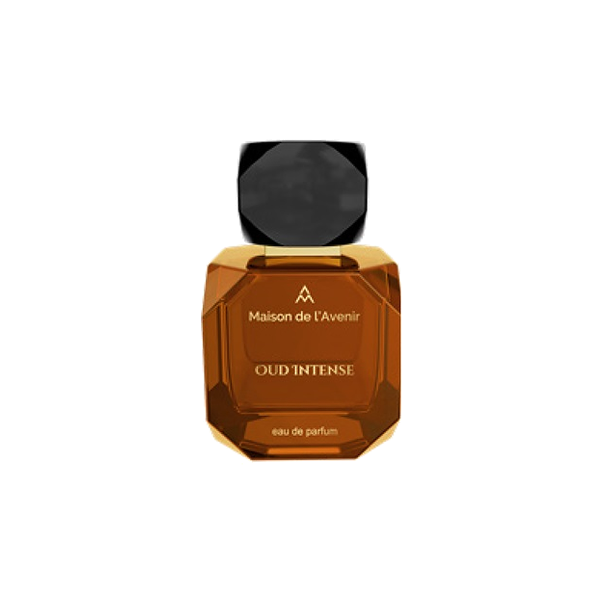 Maison de l'Avenir Oud Intense Eau de Parfum 100 ml