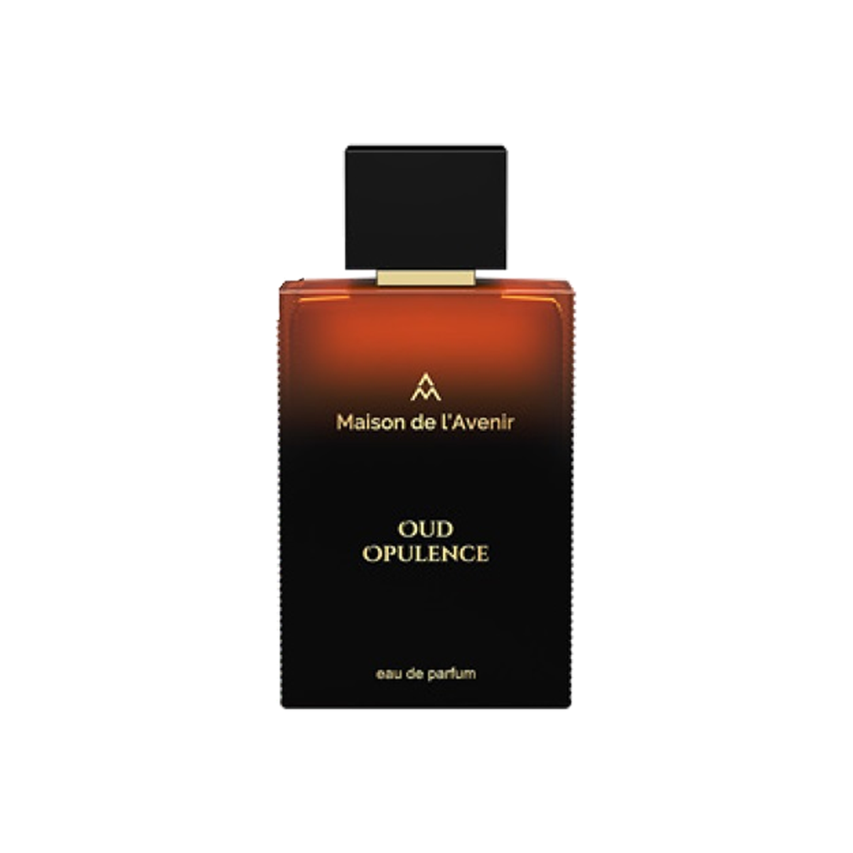 Maison de l'Avenir Oud Opulence Eau de Parfum 100 ml