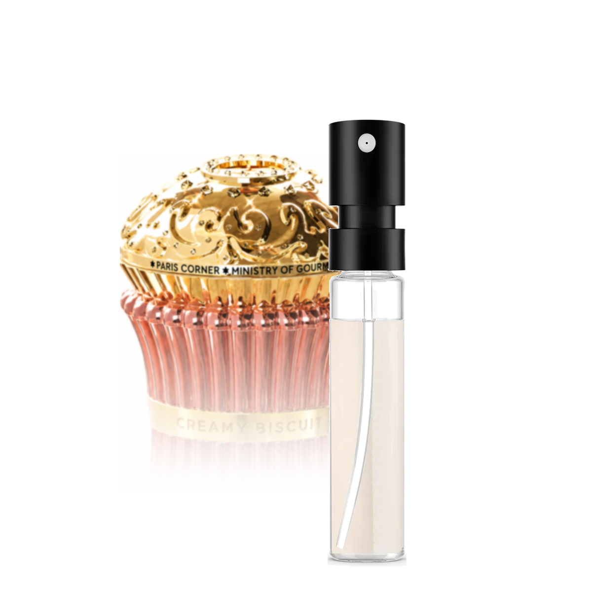 Paris Corner Creamy Biscuit Sample