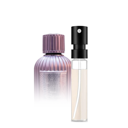 Paris Corner Qissa Gala Sample