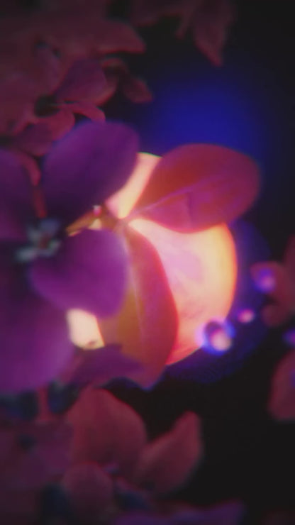 Paris Corner Khair Peach Delulu